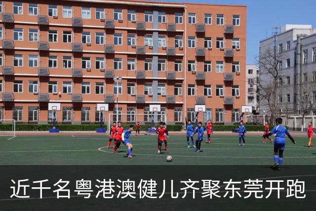 近千名粤港澳健儿齐聚东莞开跑